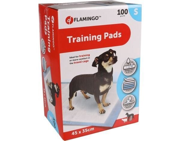 დასაფენი პამპერსი 100 ცალი ზომა-S 45x35 სმ / TRAINING PAD PADY S 100PCS 45x35CM