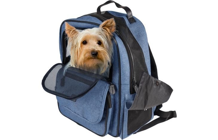 ცხოველების გადასაყვანი ზურგჩანთა ლურჯი 40x25x41სმ / Back pack wiro blue 40x25x41cm - ZooLife.ge
