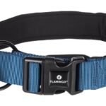 COLLAR ABBI BLUE M 45-50CM 25MM ძაღლის საყელო ლურჯი