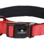 COLLAR ABBI RED M 45-50CM 25MM