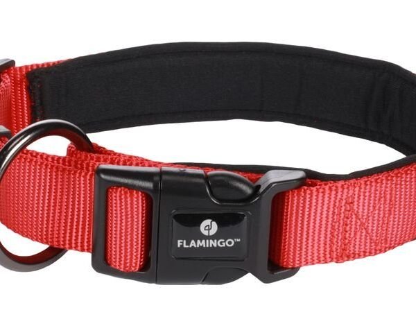 COLLAR ABBI RED M 45-50CM 25MM