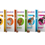 ბრავექტო 10-20კგ ძაღლებისთვის (1*500mg) / Bravecto for dogs 10-20kg BR-46