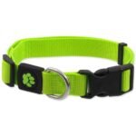 ძაღლის საყელო ფოსფორისფერი ზომა L  2,5x45-68 სმ