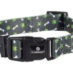 ძაღლის საყელო მწვანე - M | 40-55სმ x 20მმx 2მმ  / Dog Collar Safia Green M | 40-55cm x 20mm x 2mm