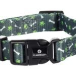 ძაღლის საყელო მწვანე - M | 40-55სმ x 20მმx 2მმ  / Dog Collar Safia Green M | 40-55cm x 20mm x 2mm