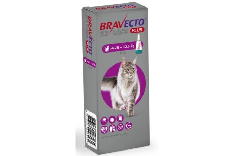 BR-P (6,25-12,5) (2) ბრავექტო პლუსი წვეთები კატებისთვის >6,25-12,5 კგ/Bravecto Plus Cat 6,25-12,5kg (1*112.5mg) - Image 1
