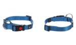 ძაღლის საყელო ზიგი ცისფერი S 30-45სმ / Collar Ziggi Blue S 30-45cm - Image 2