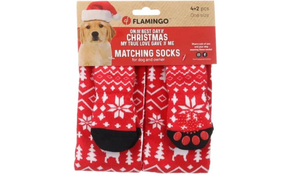 5400585381467 (1) საშობაო წინდები თქვენთვის და ძაღლებისთვის / Keysa Red Christmas matching socks Keysa Red - Image 1