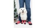 საშობაო წინდები თქვენთვის და ძაღლებისთვის / Keysa Red Christmas matching socks Keysa Red - Image 4