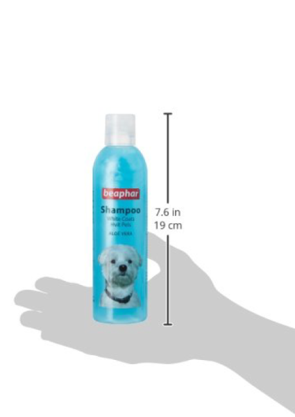 White dog shampoo2